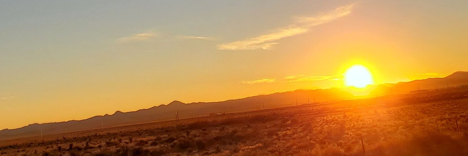 Cordelia Beatrix banner