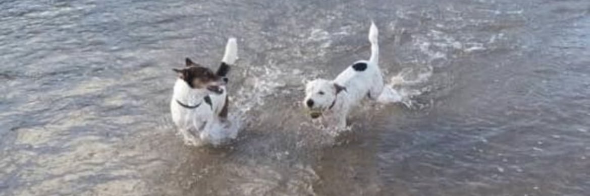 rubes x banner