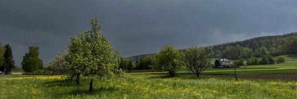 AlexKeberle Profile Banner