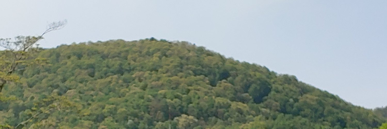 The King of the Cats banner