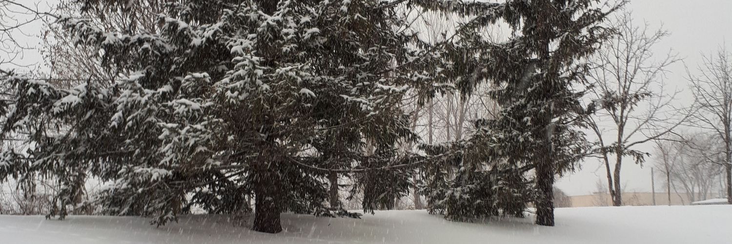 chfle25's profile banner image