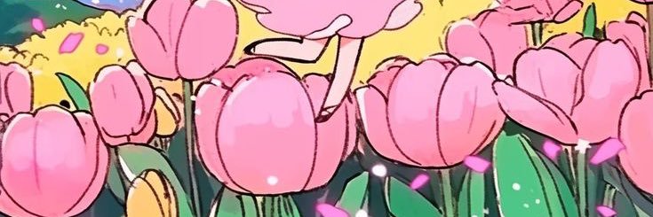 ColorSoup's profile banner image