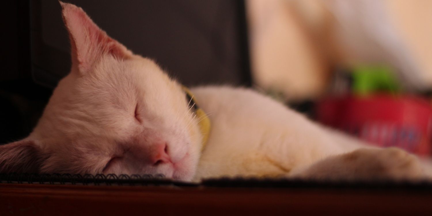 zulhamDP's profile banner image