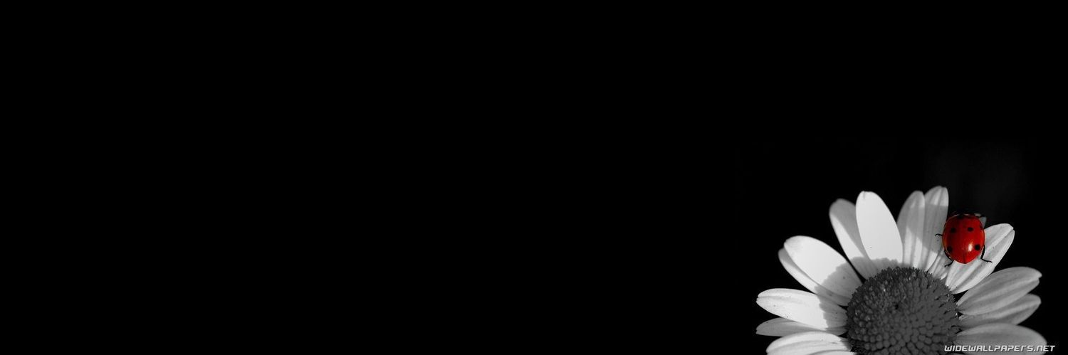 karoutt's profile banner image