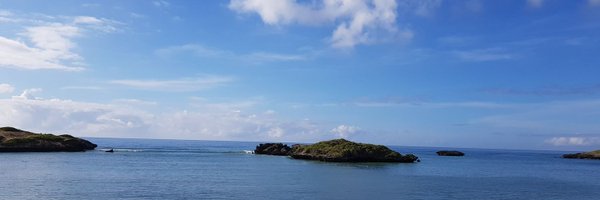 mokigi Profile Banner