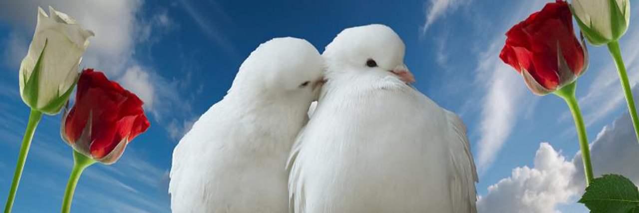 Tina Koskima 🕊️'s banner