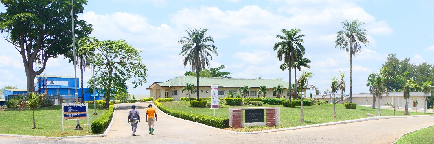 IITA Business banner