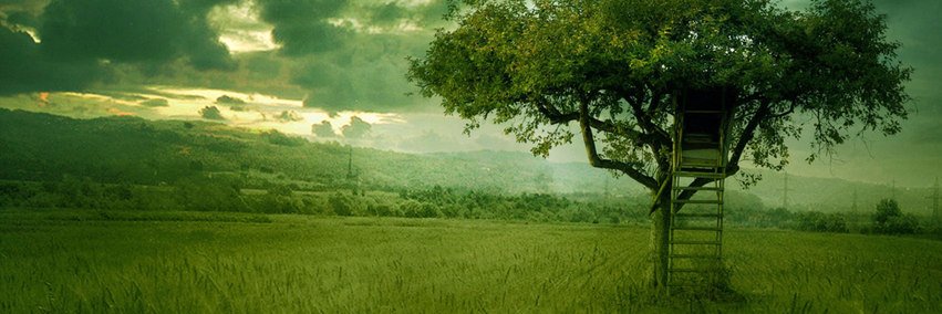 inuyasha7343241's profile banner image