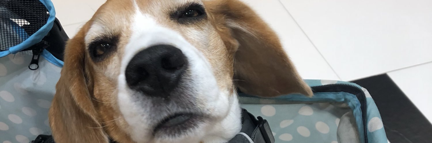 KitkatV4's profile banner image