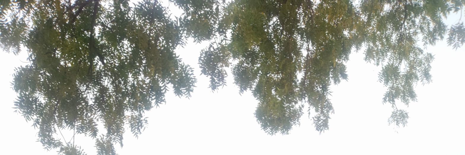 Dharmendra__DK's profile banner image
