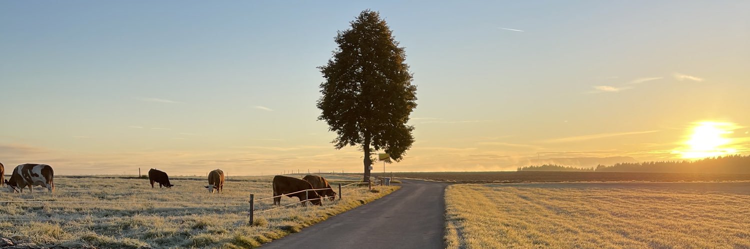 🍀A. | A.🍀 banner