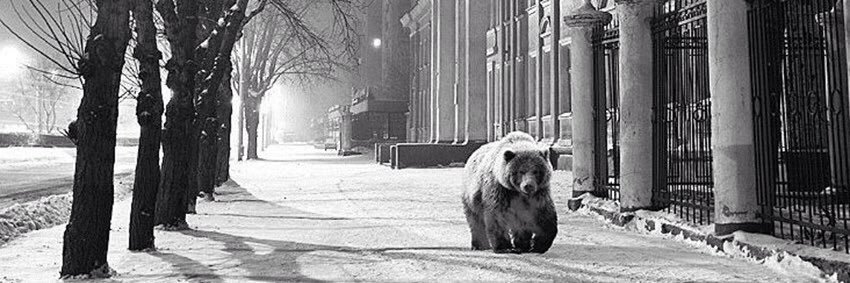 oleg22rus's profile banner image