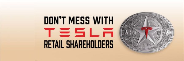 TeslaBoomerMama Profile Banner