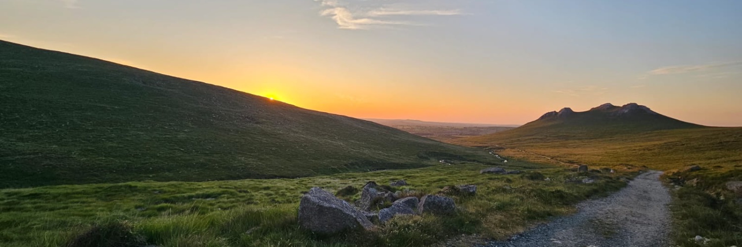 Dr Amanda Bye (she/her) banner