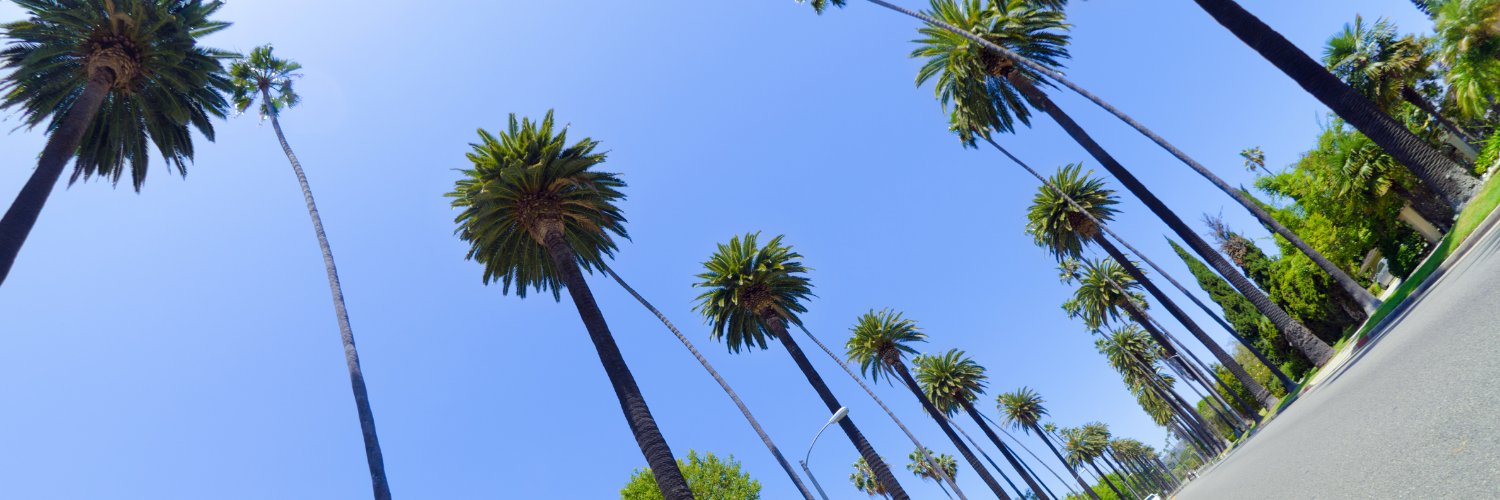 LApetsitting's profile banner image