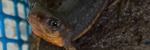 ma_anago Profile Banner