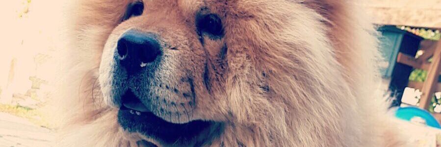 ParsReis's profile banner image