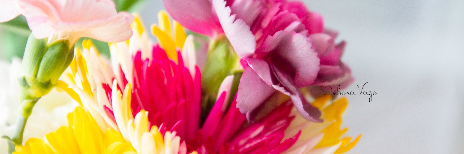 beepropaganda's profile banner image