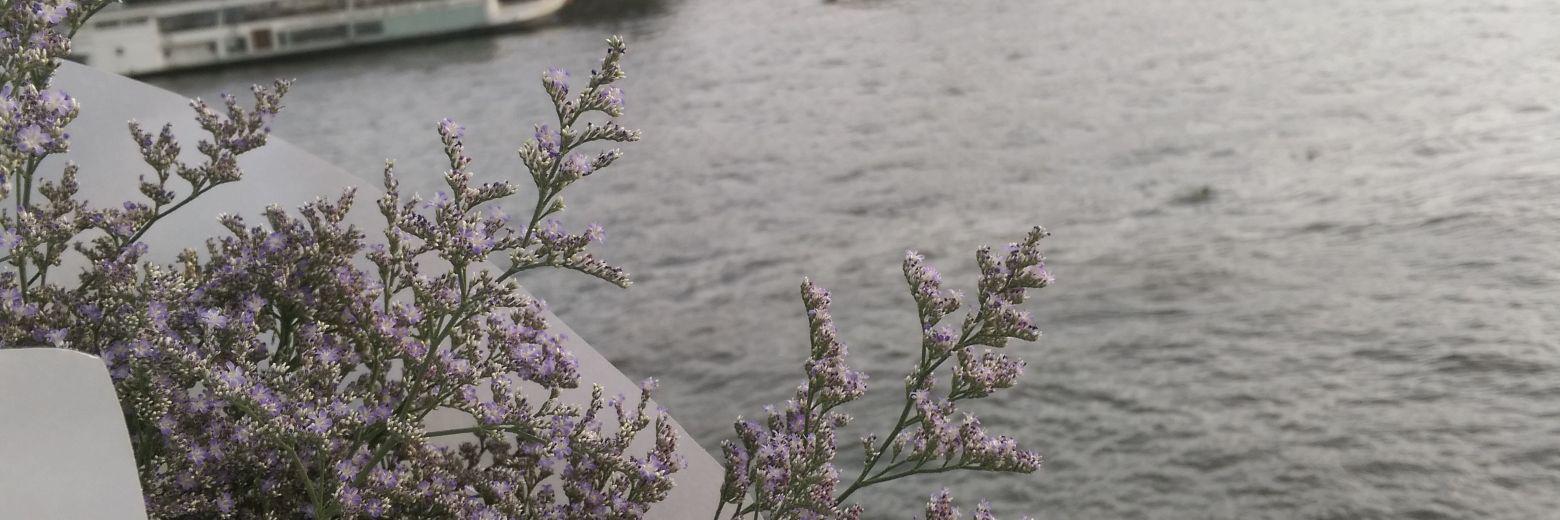 janejane06's profile banner image