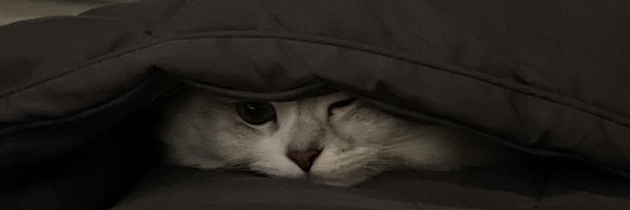 deepoetic's profile banner image
