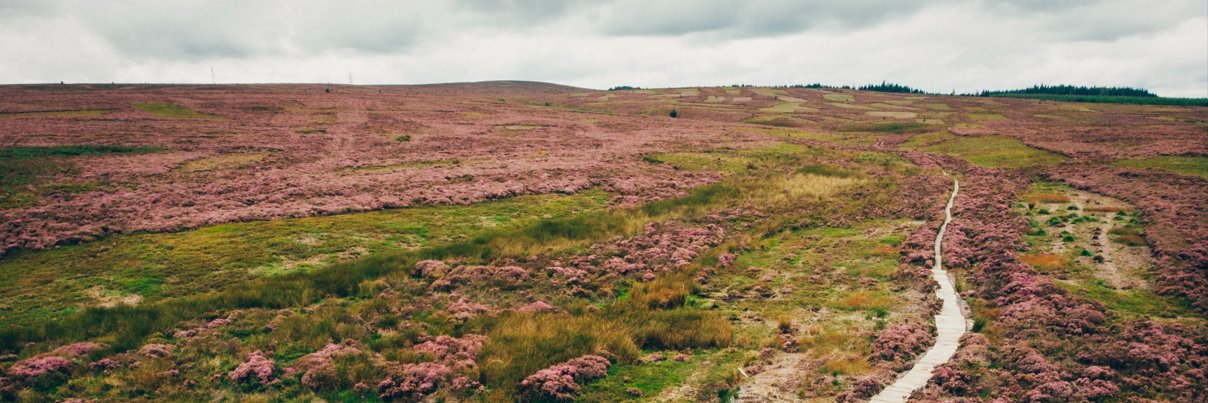 Offa's Dyke Path National Trail banner