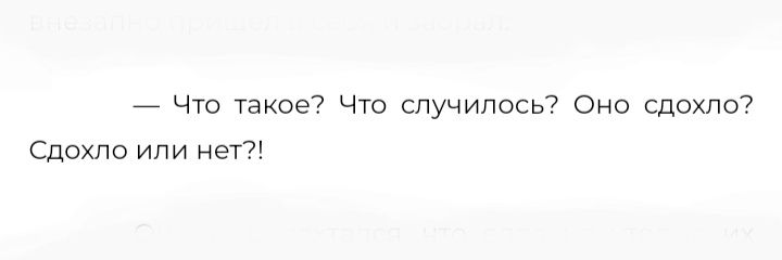 сдохло ли оно сегодня 🕊️'s banner