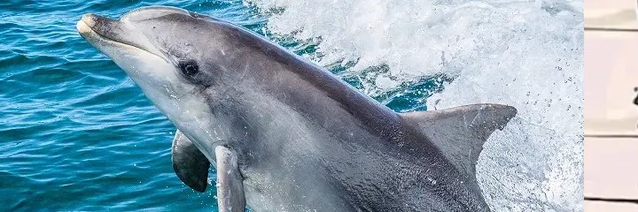 hackandi's profile banner image