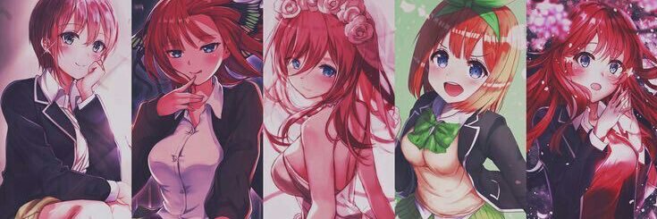 Candideeh's profile banner image