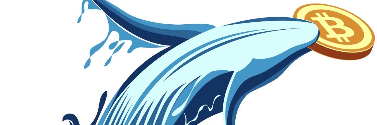 cryptowhale28's profile banner image