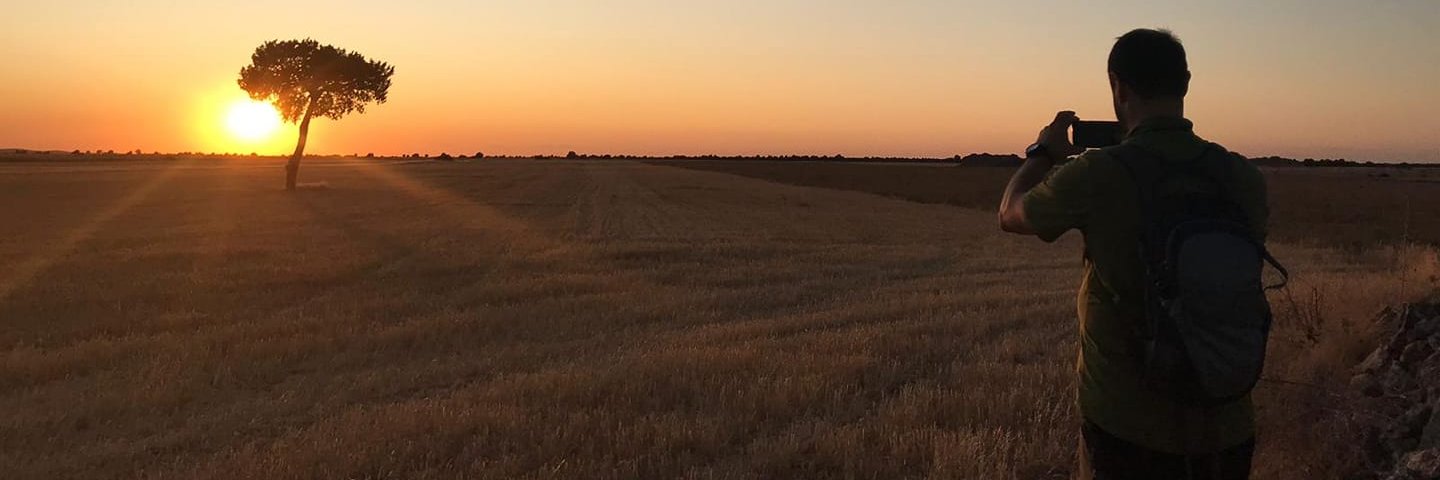 Alberto AP 💚👉👃💚 banner