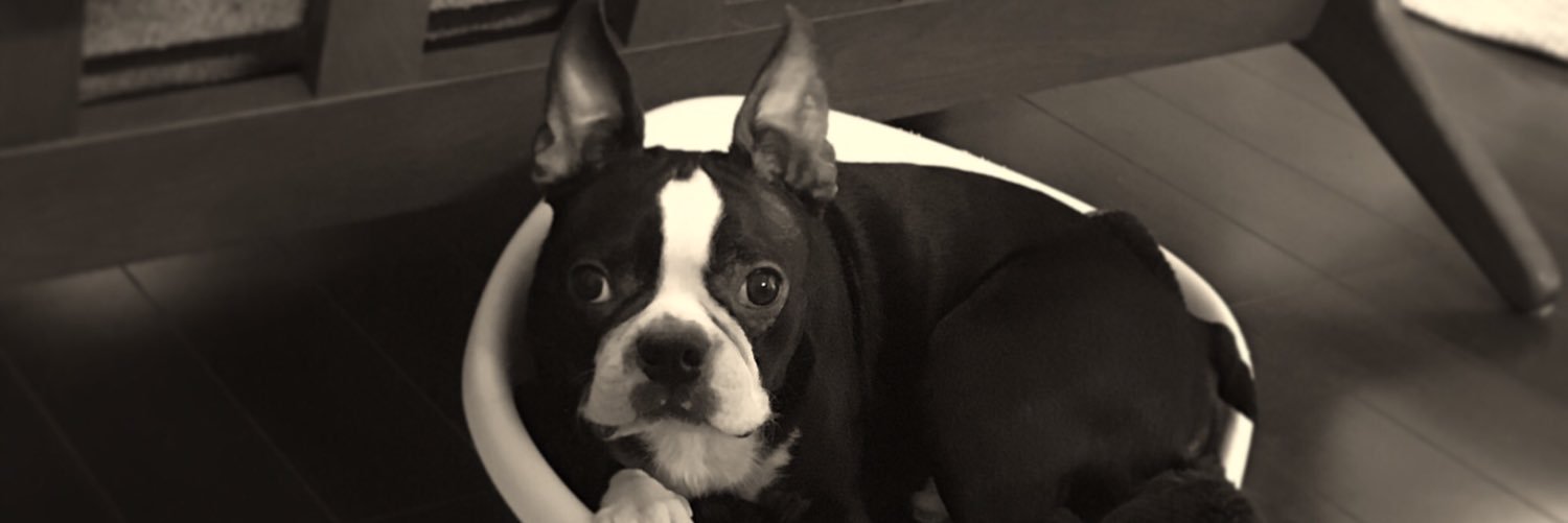 𝒉𝒊𝒓𝒐𝒌𝒐 banner