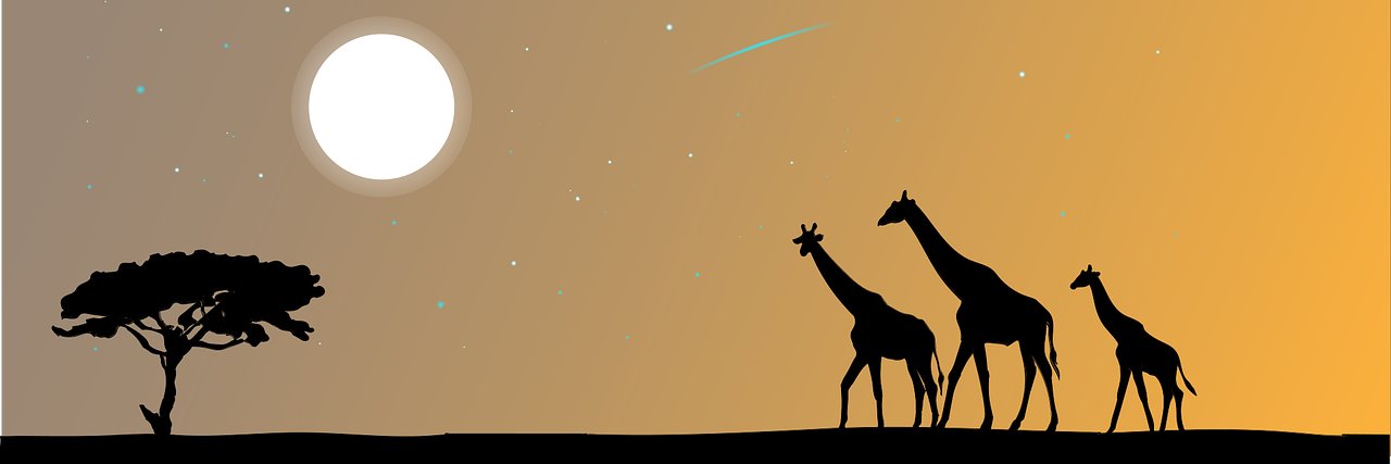 WizzUp banner