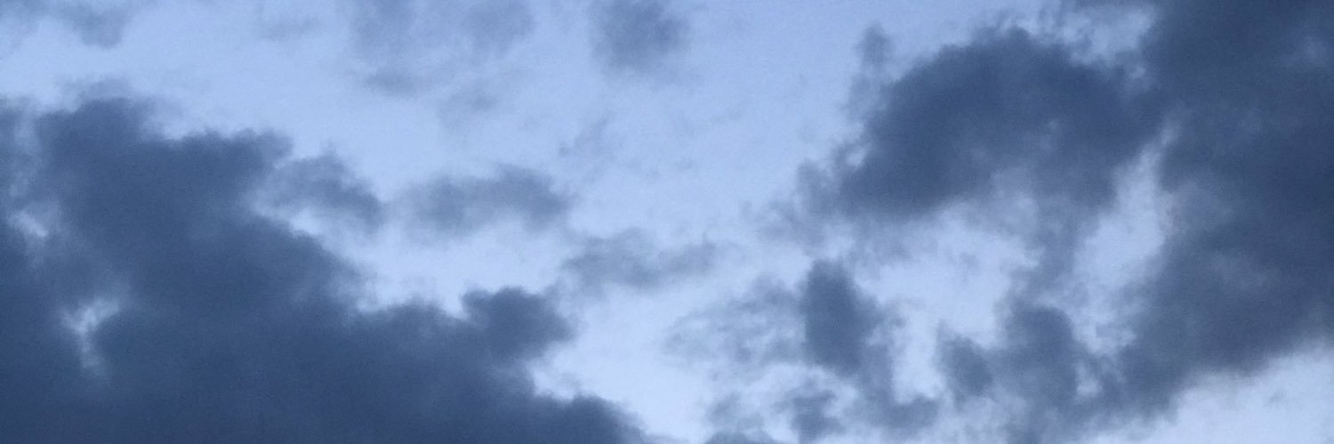 sofienamberg's profile banner image
