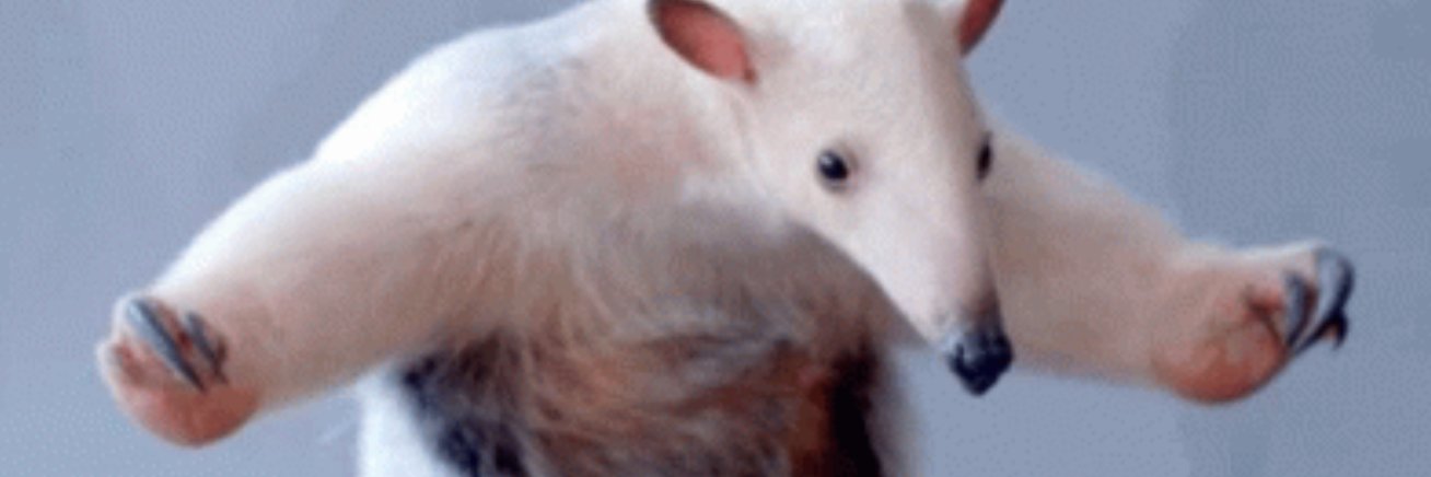 unable to can banner