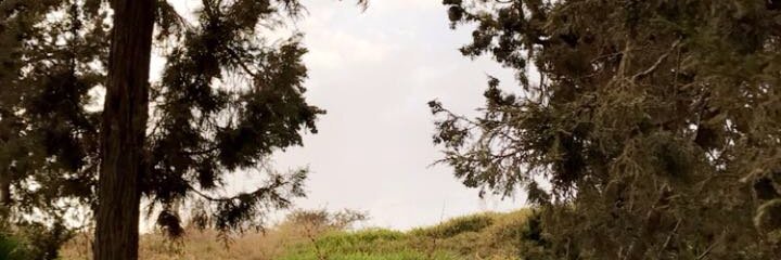 7825332's profile banner image