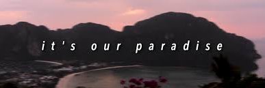 haystt banner
