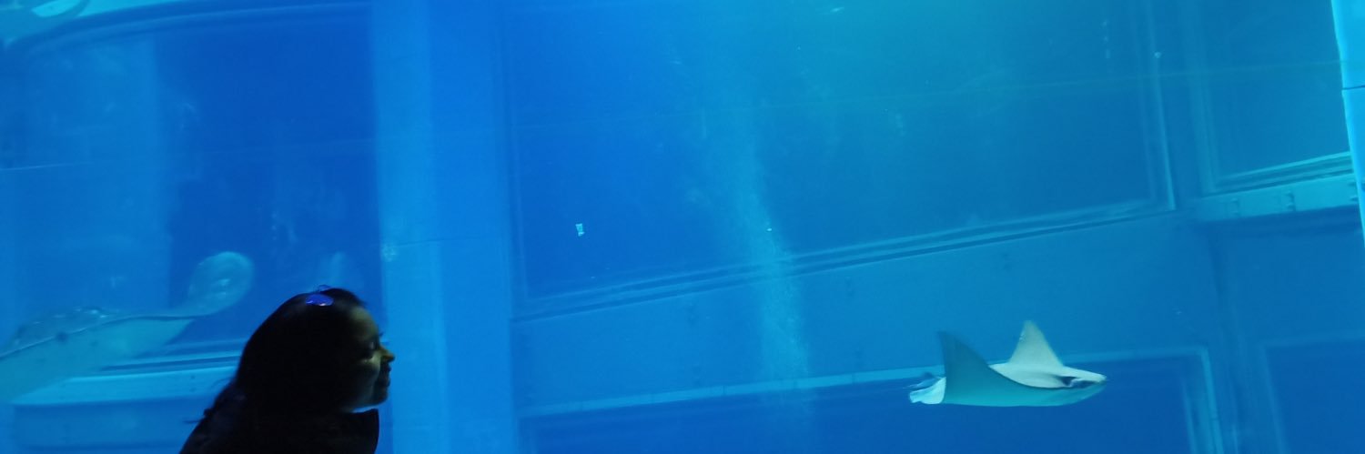 fanny_veronica's profile banner image