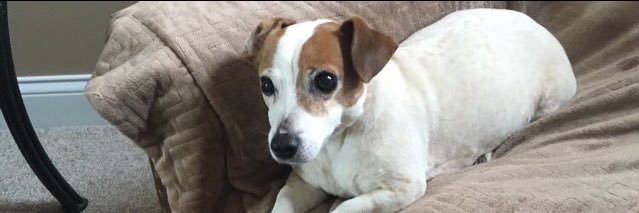 mayberry45's profile banner image