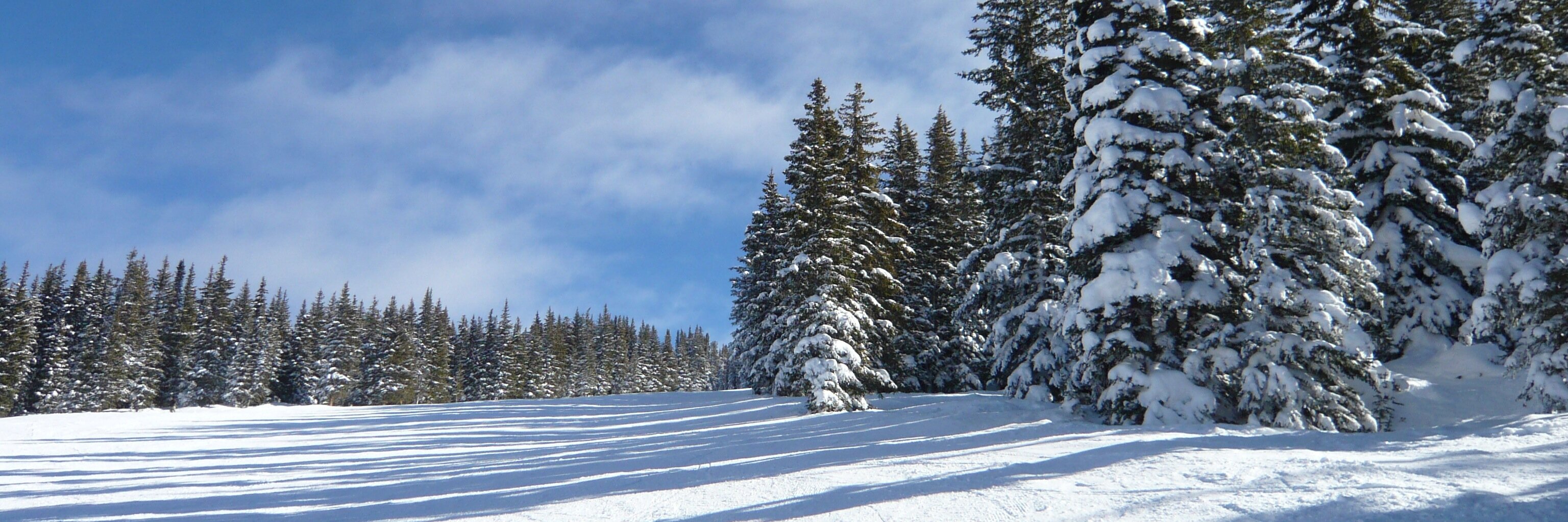 collconf's profile banner image