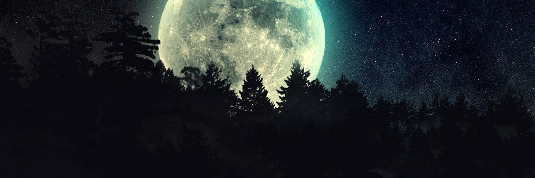 NightSpiritHawk's profile banner image