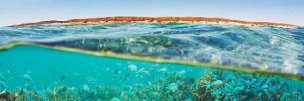 ATECWA Profile Banner