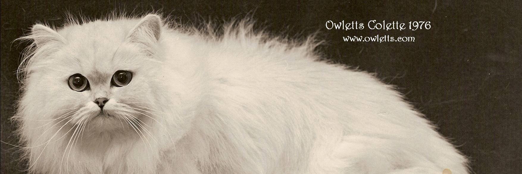 aiguillon's profile banner image