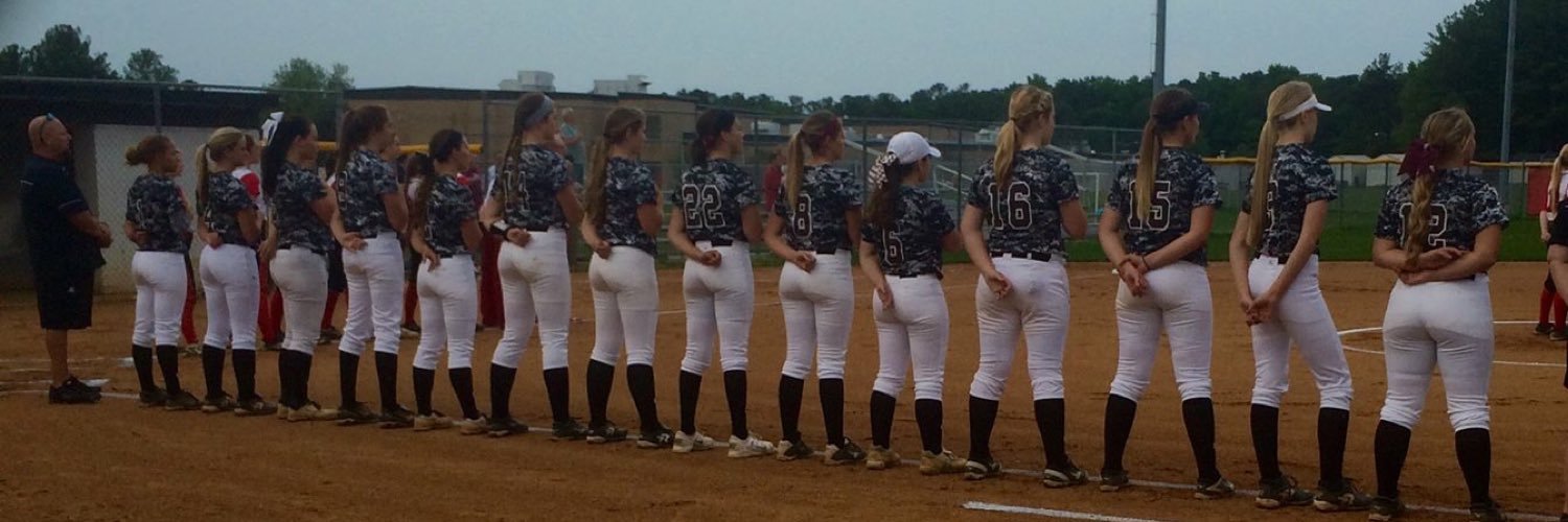 TD Varsity Softball banner