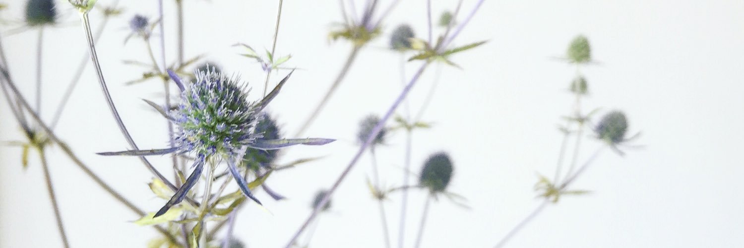 jacqbayot's profile banner image