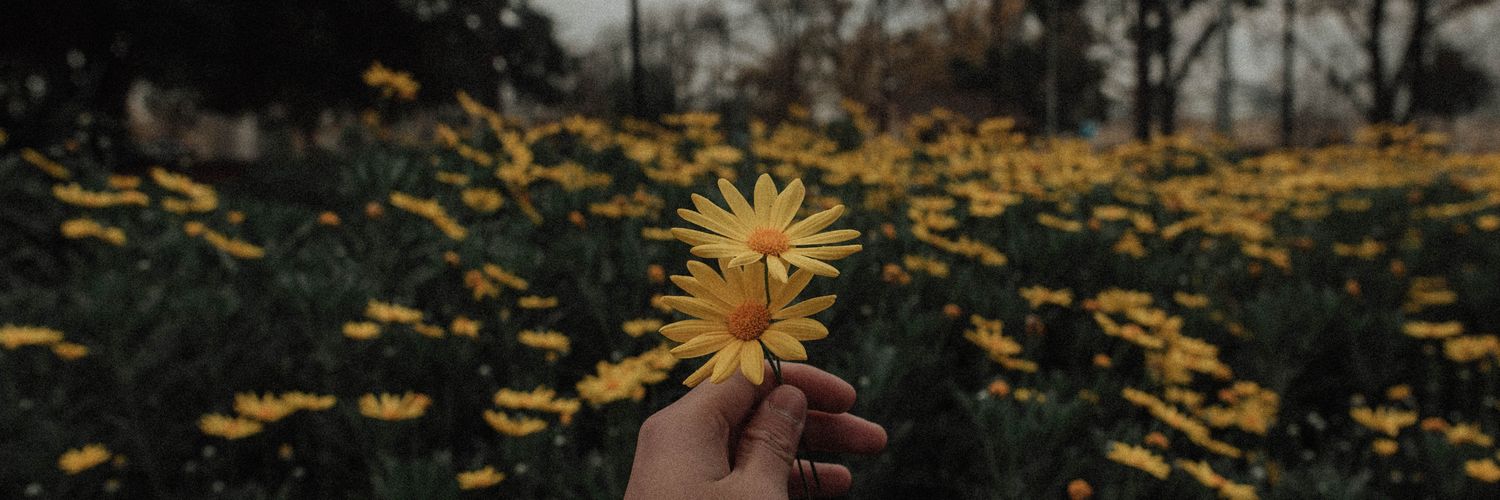 byulstarr's profile banner image