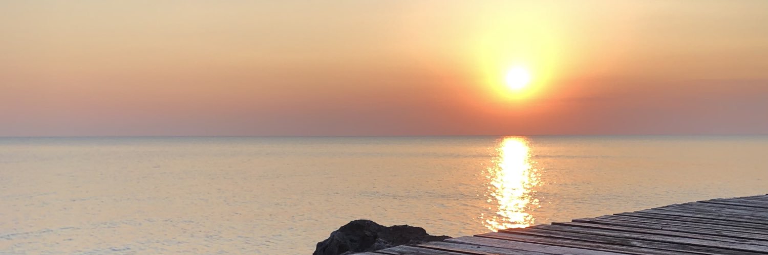 AnnMFitzpatrick's profile banner image