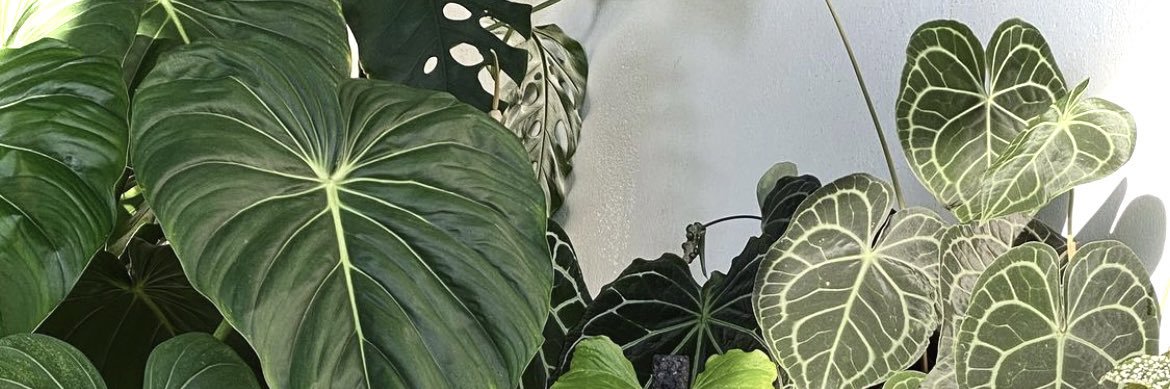 abusfynnn's profile banner image