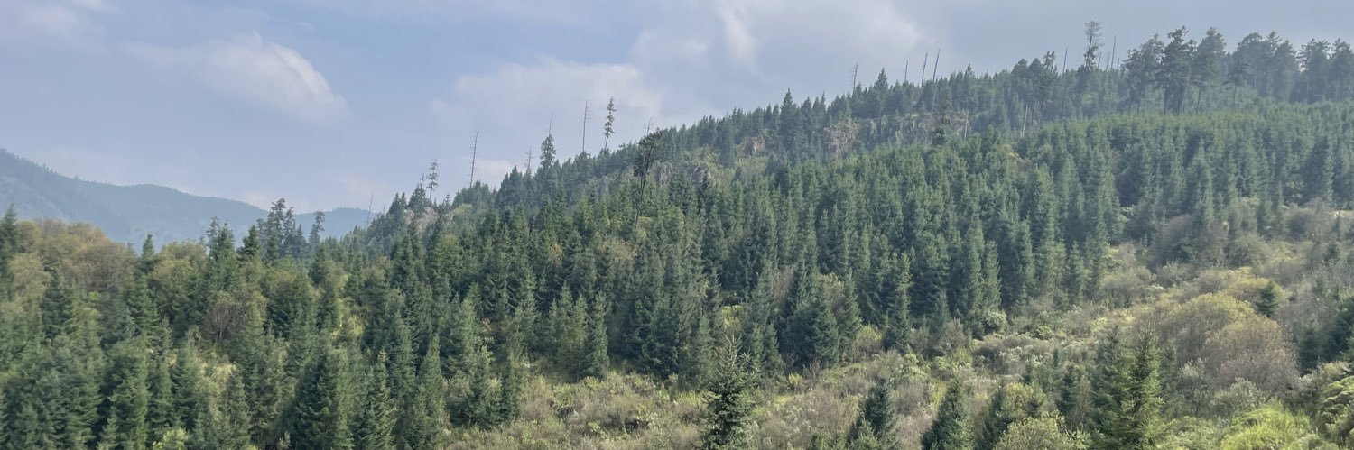 Fabiolabreui's profile banner image
