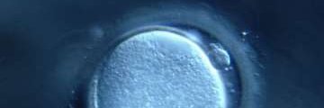 本橋 秀之 Hideyuki Motohashi, Ph.D. banner