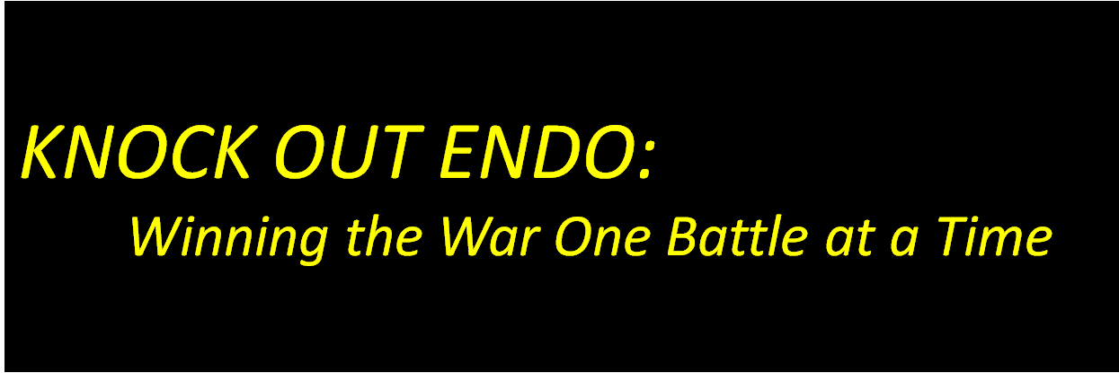 KnockOutEndo's profile banner image